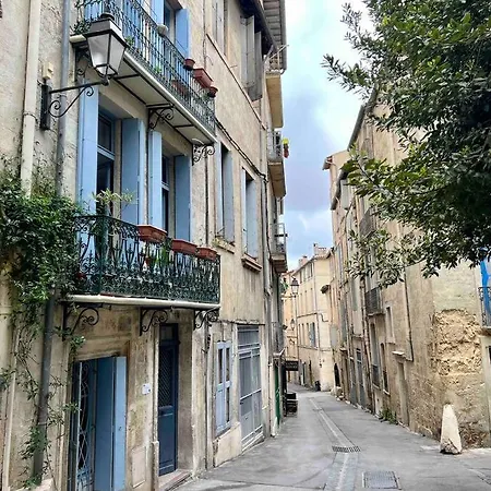 La Petite Maison Aux Volets Bleu - Apartment *